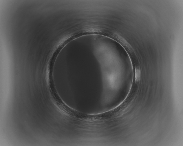 X0000111120627200907070958