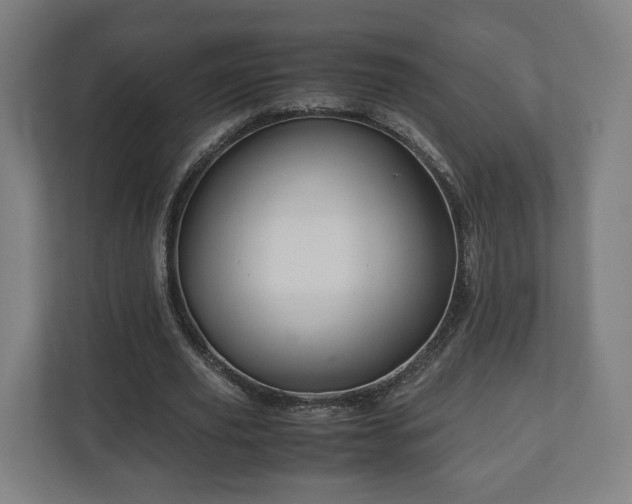 X0000111120629200907070958