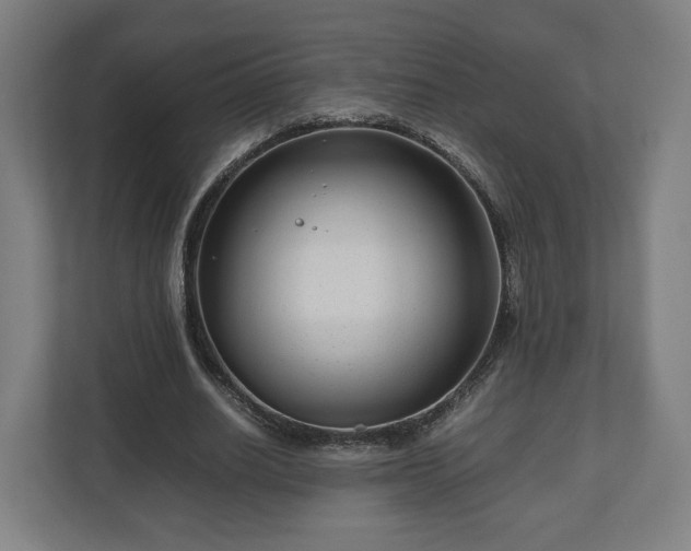 X0000111120630200907070958