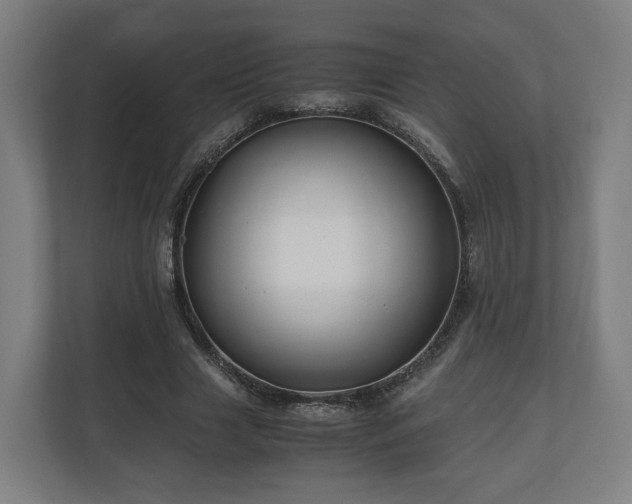 X0000111120633200907070958