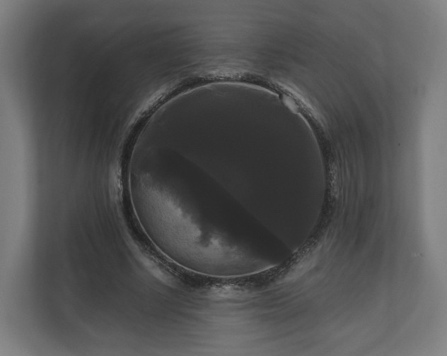 X0000111120634200907070958