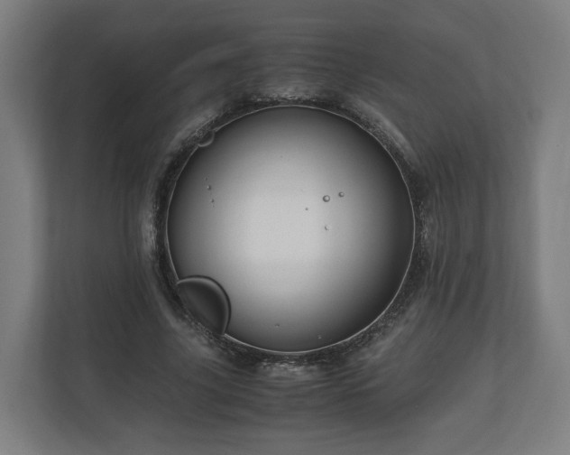 X0000111120635200907070958