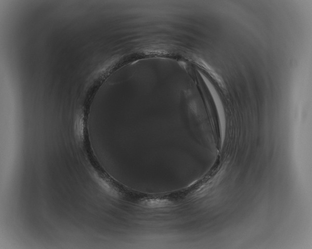 X0000111120637200907070958