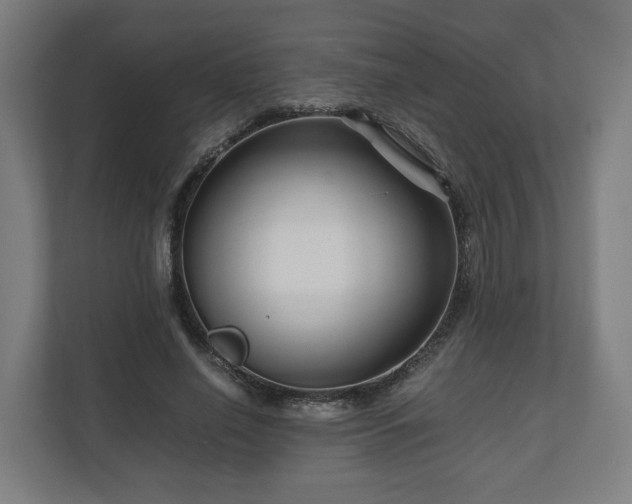 X0000111120638200907070958