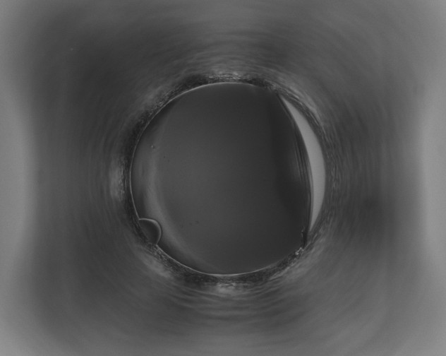 X0000111120641200907070958