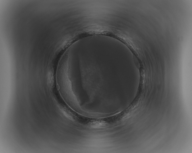 X0000111120642200907070958