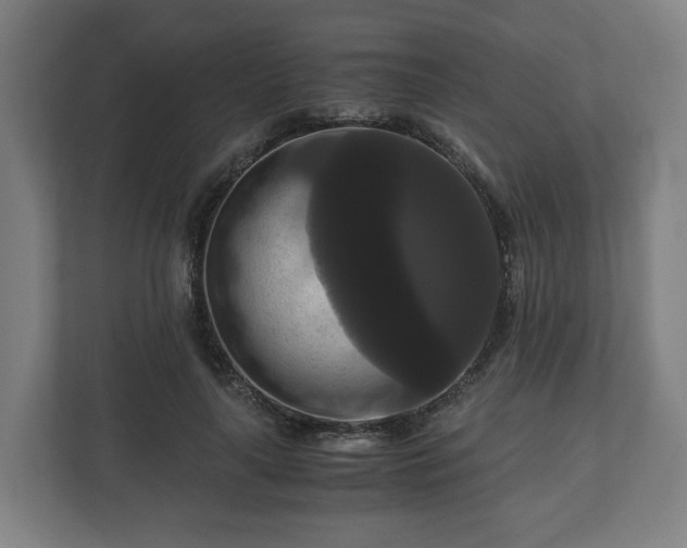 X0000111120643200907070958