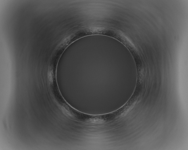 X0000111120644200907070958