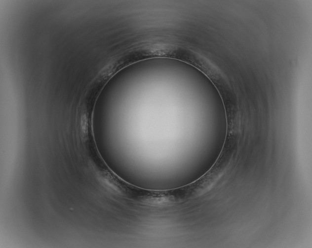 X0000111120646200907070958