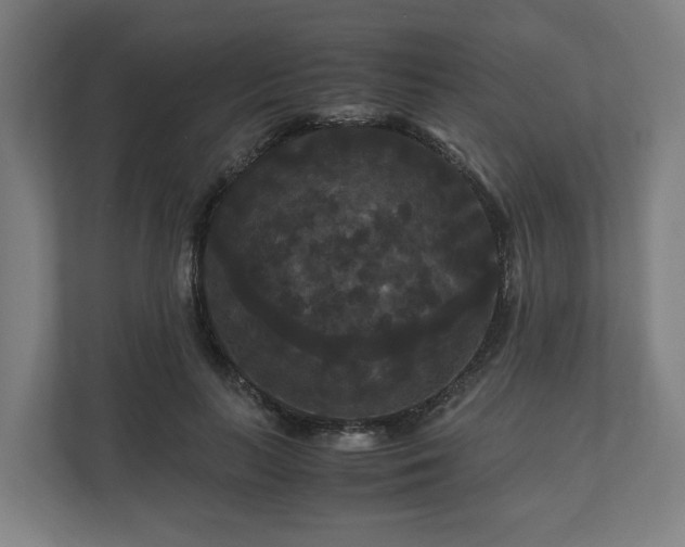 X0000111120647200907070958