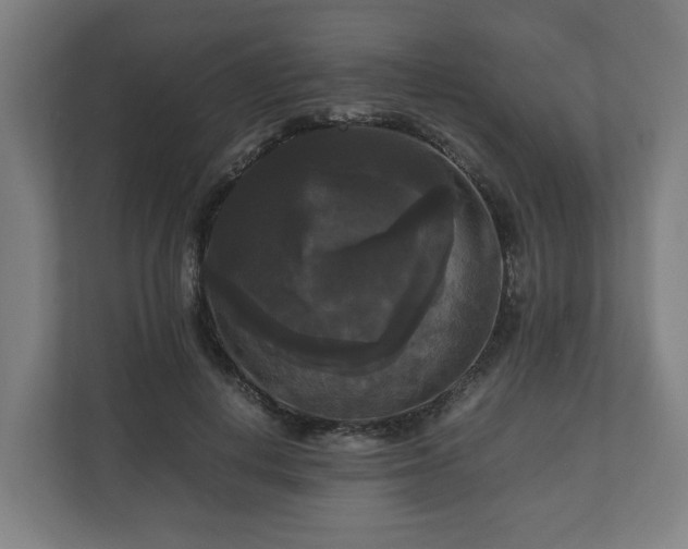 X0000111120648200907070958