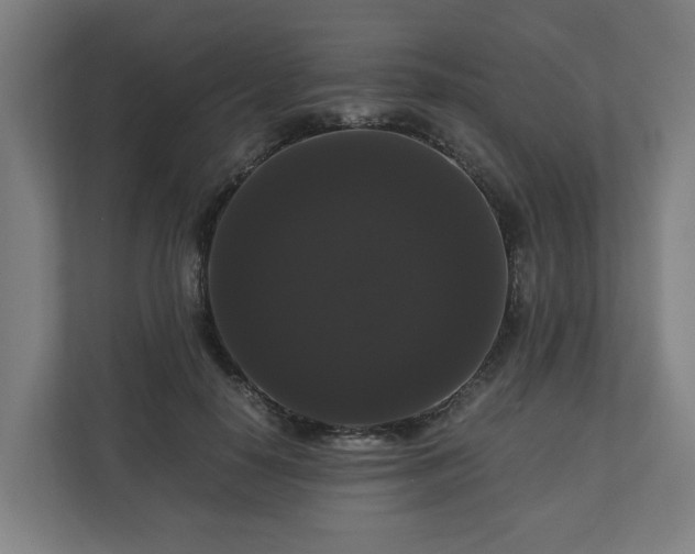 X0000111120650200907070958