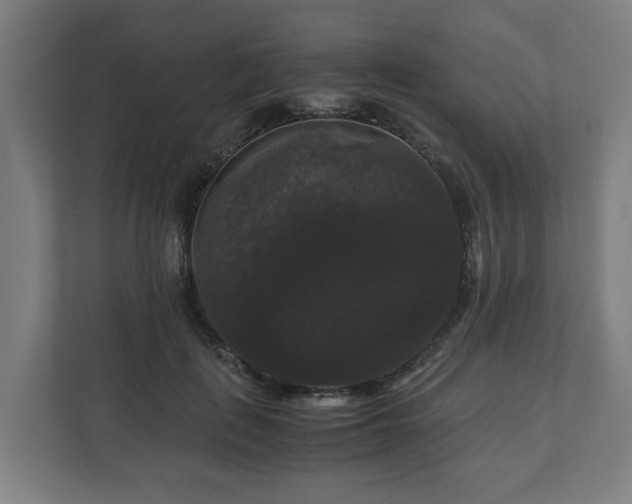 X0000111120651200907070958