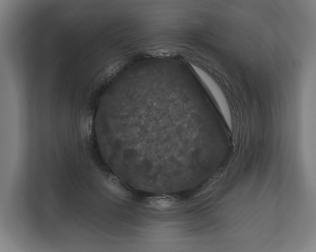 X0000111120652200907070958