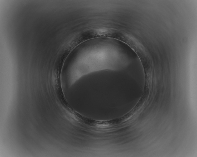 X0000111120653200907070958