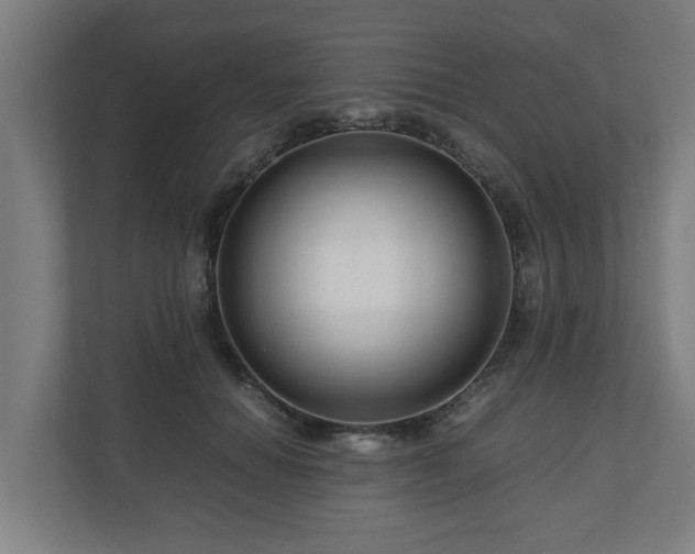 X0000111120654200907070958