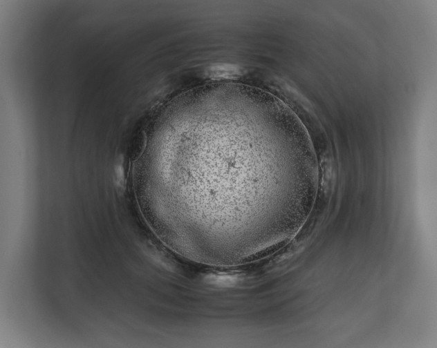 X0000111120655200907070958