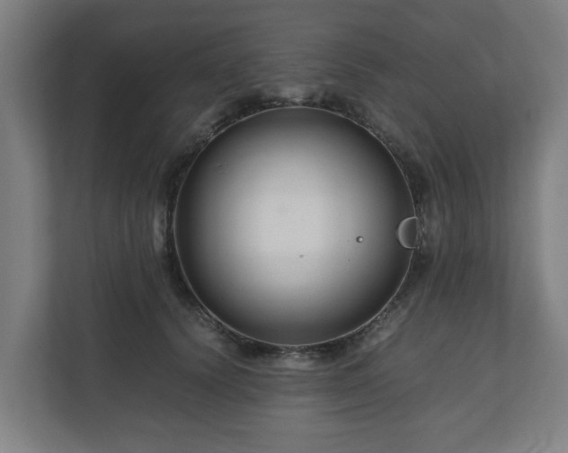 X0000111120656200907070958