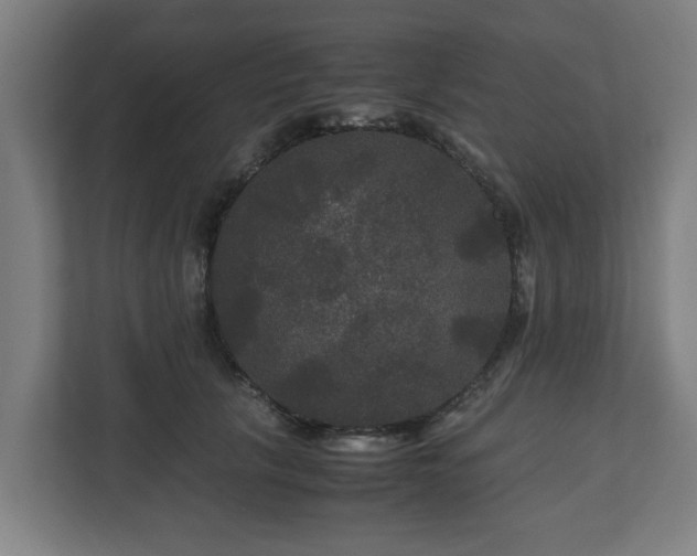 X0000111120657200907070958