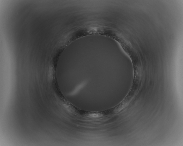 X0000111120659200907070958