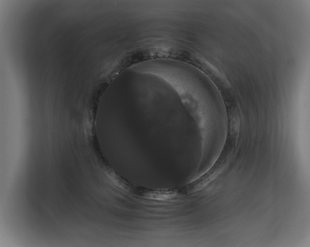 X0000111120661200907070958