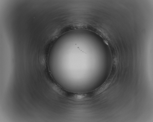 X0000111120662200907070958