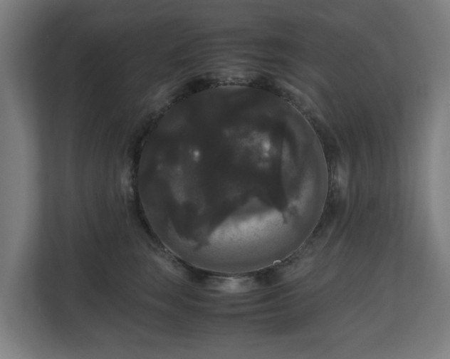 X0000111120663200907070958