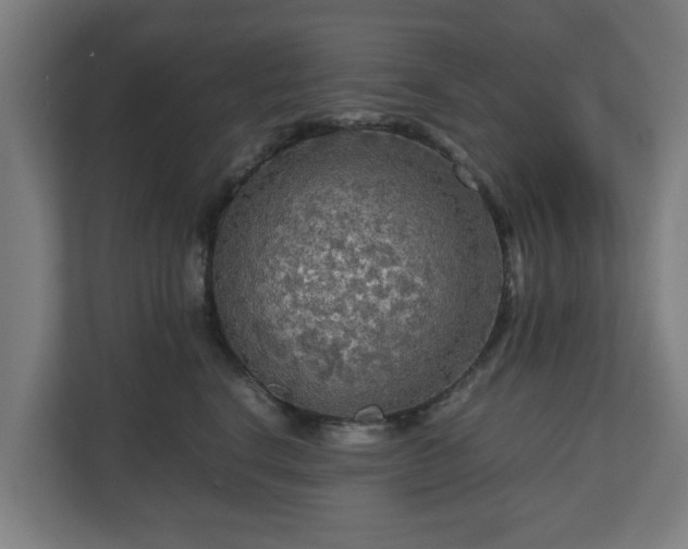 X0000111120664200907070958