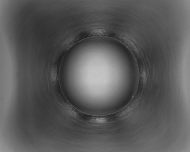 X0000111120665200907070958