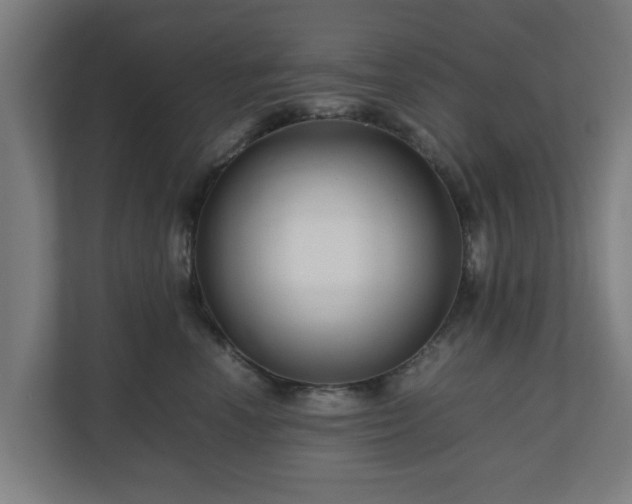 X0000111120666200907070958