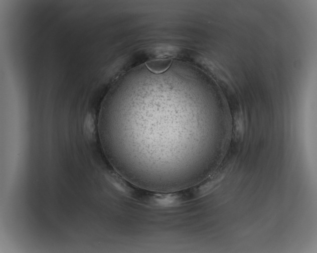 X0000111120667200907070959