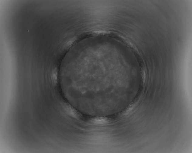 X0000111120668200907070959