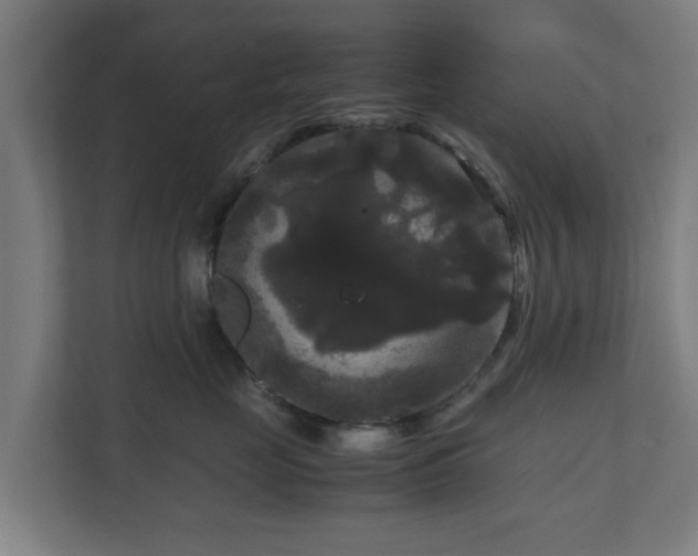 X0000111120669200907070959