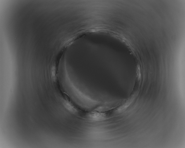 X0000111120670200907070959