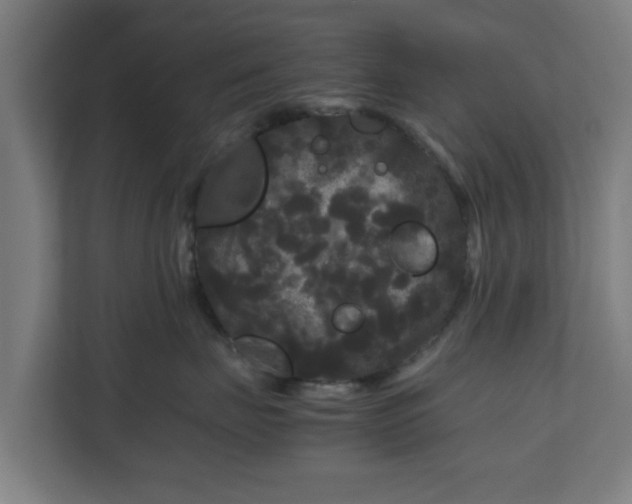 X0000111120671200907070959