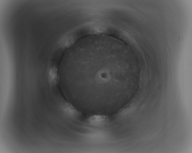 X0000111120672200907070959