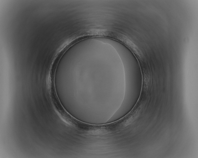 X0000111120674200907070958