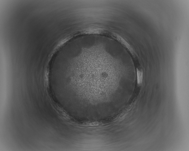 X0000111120675200907070958