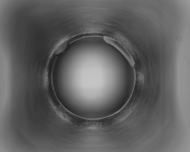 X0000111120676200907070958