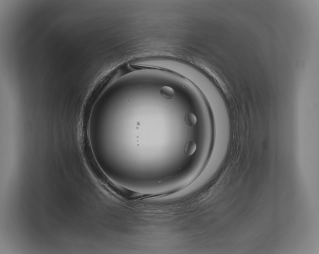 X0000111120677200907070958