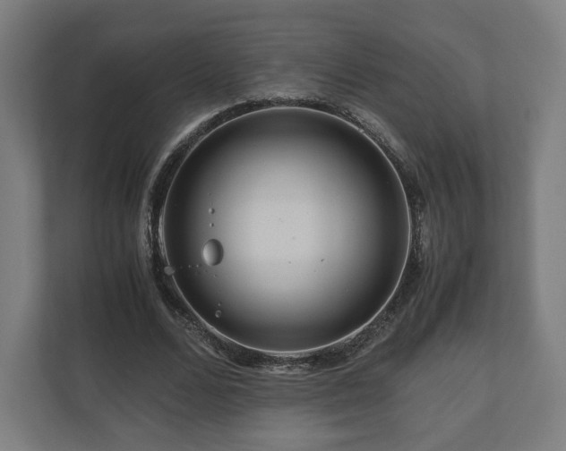 X0000111120680200907070958