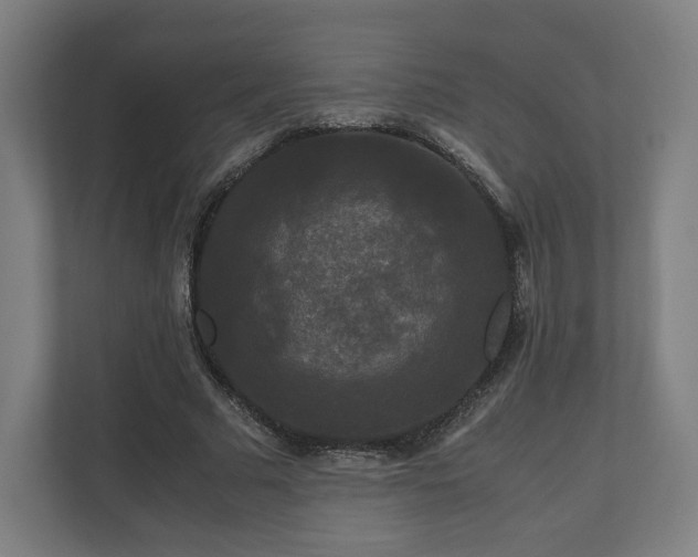 X0000111120681200907070958