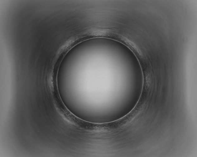 X0000111120682200907070958