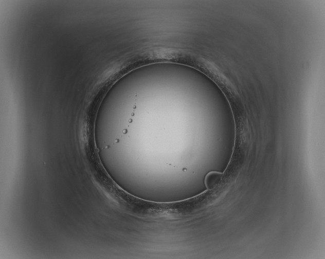 X0000111120683200907070958