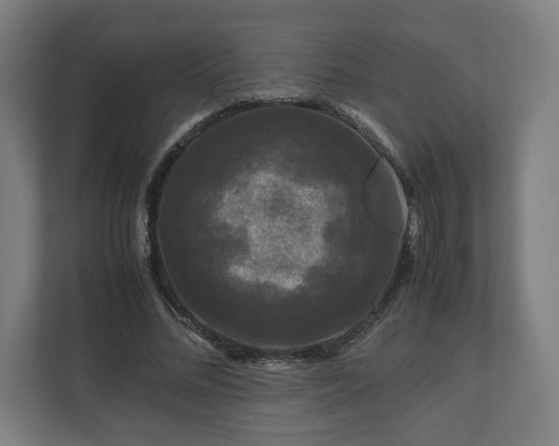 X0000111120684200907070958