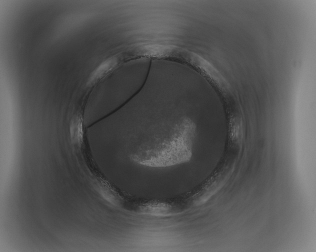 X0000111120685200907070958