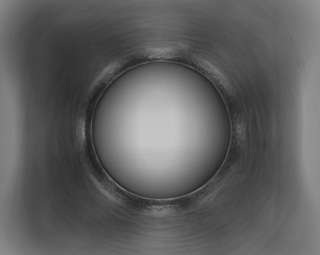 X0000111120686200907070958