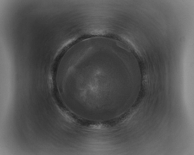 X0000111120688200907070958