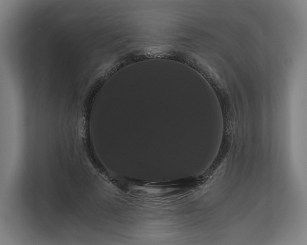 X0000111120689200907070958