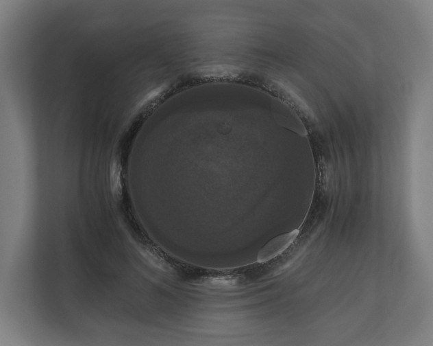 X0000111120692200907070958